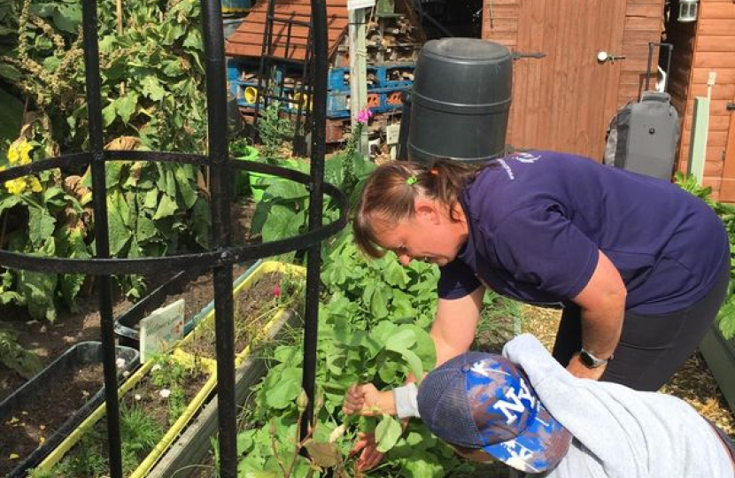 Community Allotment