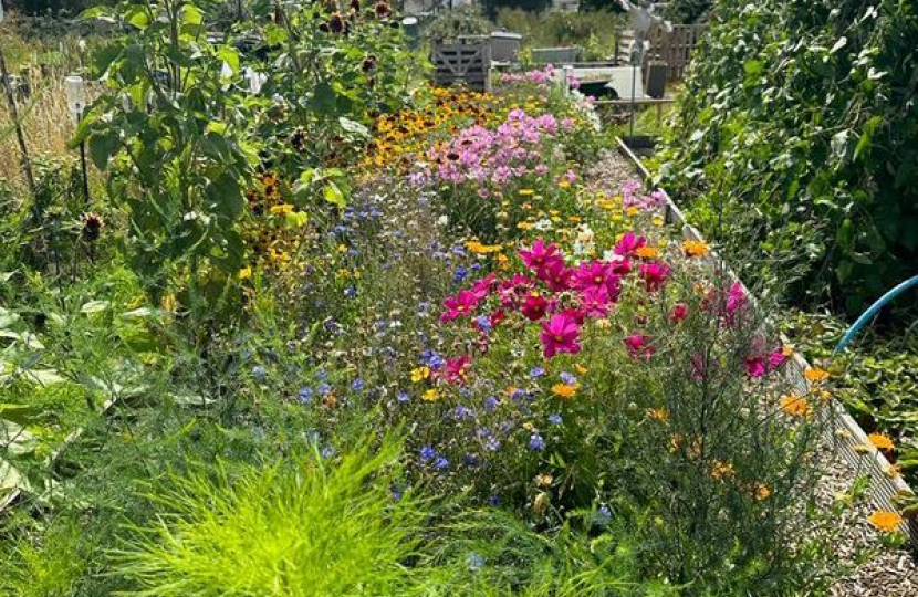 Community Allotment