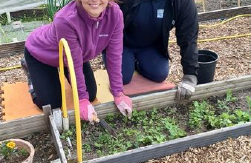 Community Allotment 2022