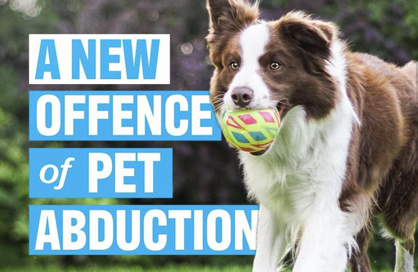 Pet Abduction Act