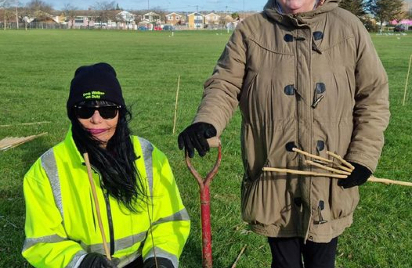 Tree Planting in Castle Point