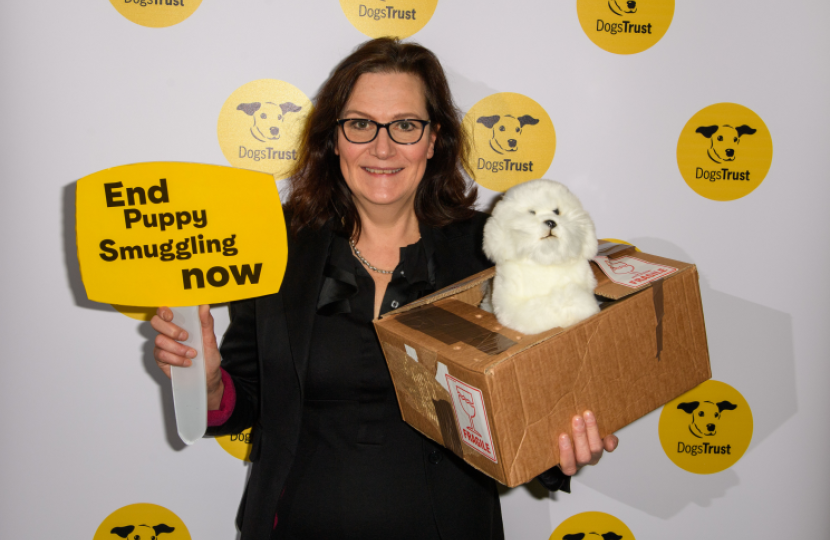 end puppy smuggling