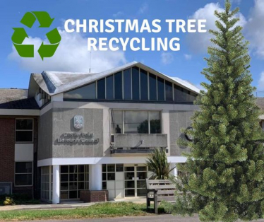 Christmas Tree Recycling