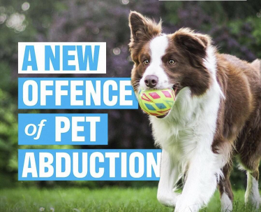 Pet Abduction Act