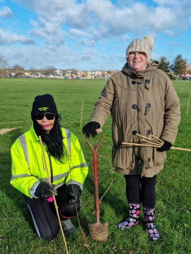 Tree Planting in Castle Point